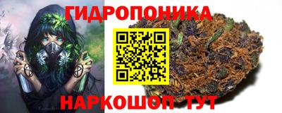 ECSTASY Ливны