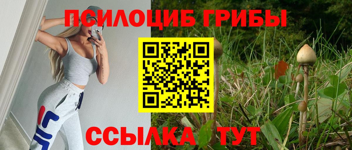 Псилоцибиновые грибы GOLDEN TEACHER Усинск
