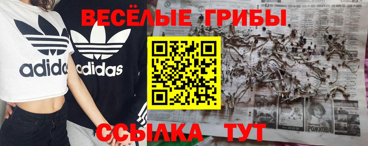 Усинск  Галлюциногенные грибы MAGIC MUSHROOMS  Псилоцибиновые грибы ЛСД  где найти   Вход с VPN 